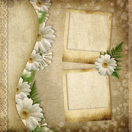 simsearch:400-04848691,k - Vintage card for the holiday with daisy flower and 2 frames Stock Photo - Budget Royalty-Free & Subscription, Code: 400-06141211