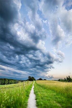 farm grass flowers - An image of a path to the evening sky Stock Photo - Budget Royalty-Free & Subscription, Code: 400-06141340