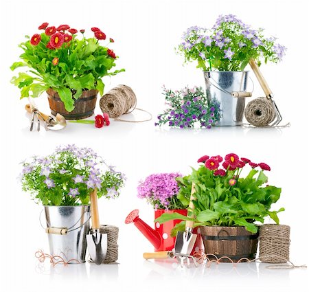 set garden flowers with tools isolated on white background Stock Photo - Budget Royalty-Free & Subscription, Code: 400-06141794