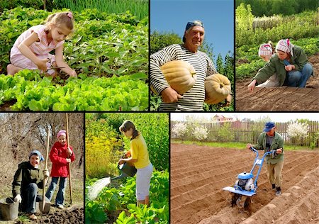 farmer soil and hand - various farming activities at the small farm Stock Photo - Budget Royalty-Free & Subscription, Code: 400-06141869