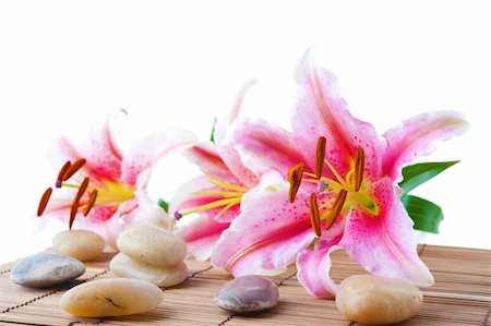 petal on stone - Pink lily and therapy stones over bamboo mat Stock Photo - Budget Royalty-Free & Subscription, Code: 400-06142523