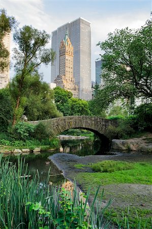 Gapstow bridge in Central Park. Central Park is a public park at the center of Manhattan, New York City, USA. Stock Photo - Budget Royalty-Free & Subscription, Code: 400-06142653