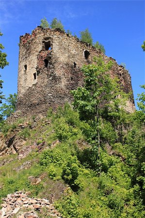 polish castle - Ruin of old castle in Swiecie, Poland Stock Photo - Budget Royalty-Free & Subscription, Code: 400-06142966