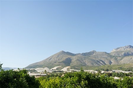 simsearch:400-06083036,k - Rural areas of inland Costa Blanca, with their mountain ridges and valleys planted with orange and lemon trees Stock Photo - Budget Royalty-Free & Subscription, Code: 400-06174421