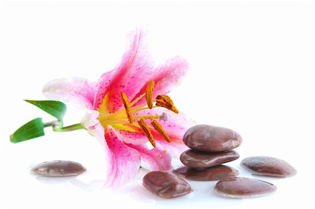 petal on stone - Pink lily and stones, with water reflection Stock Photo - Budget Royalty-Free & Subscription, Code: 400-06174562
