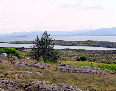 photography rocky islands mist - Morning landscape near Coomatloukane, Ireland. Atlantic coastline at County Kerry Stock Photo - Budget Royalty-Free & Subscription, Code: 400-06175718