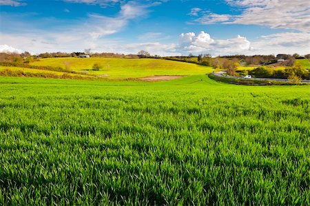 dirt farm road - Asphalt Road Leading to the Farmhouse in Tuscany, Italy Stock Photo - Budget Royalty-Free & Subscription, Code: 400-06177102