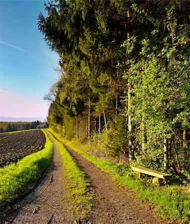 simsearch:400-04380170,k - Dirt Road near the Forest, Swiss Alps Stock Photo - Budget Royalty-Free & Subscription, Code: 400-06177103