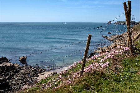stake - Pembrokeshire coastal path with a wire fence at the cliff edge Stock Photo - Budget Royalty-Free & Subscription, Code: 400-06177264