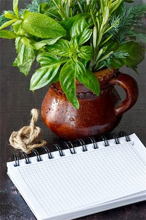 recipes paper - Fresh spicy herbs and notebook on an old wooden table. Foto de stock - Super Valor sin royalties y Suscripción, Código: 400-06177502