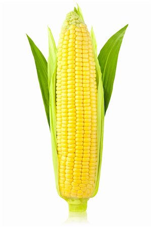 Ear of Corn with Green Leaves / vertical /  isolated on a white background Photographie de stock - Aubaine LD & Abonnement, Code: 400-06178908