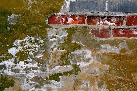 pzromashka (artist) - Texture. A ruined wall of bricks with cracked paint and mold Stock Photo - Budget Royalty-Free & Subscription, Code: 400-06178955