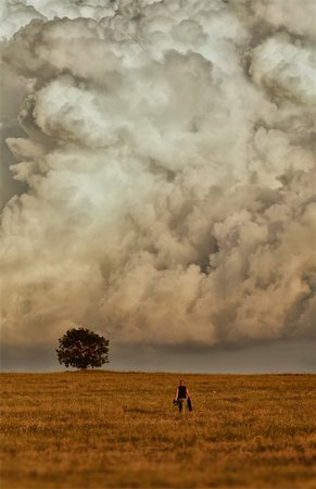 fogen (artist) - A man goes to a tree standing alone. In the background is a huge cloud. Stockbilder - Microstock & Abonnement, Bildnummer: 400-06179350