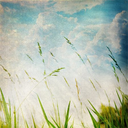 summer light abstract - Grunge paper texture.  abstract nature background Stock Photo - Budget Royalty-Free & Subscription, Code: 400-06179795