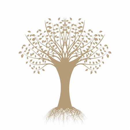 Beautiful art tree silhouette isolated on white background Photographie de stock - Aubaine LD & Abonnement, Code: 400-06170978
