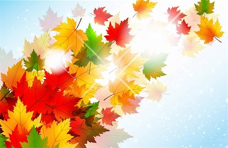 red yellow orange design patterns - Beautiful illustration of maple leaves blowing in the wind and sun rays coming through. Stock Photo - Budget Royalty-Free & Subscription, Code: 400-06171058