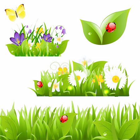 Flowers With Grass Butterfly And Ladybug, Isolated On White Background, Vector Illustration Foto de stock - Super Valor sin royalties y Suscripción, Código: 400-06171828