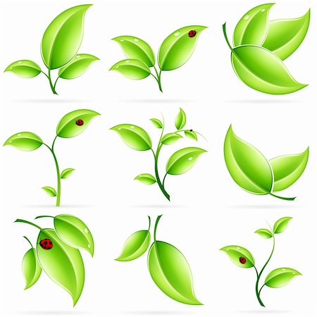 Fresh Green Leaves Icon Set isolated on white Stock Photo - Budget Royalty-Free & Subscription, Code: 400-06171878