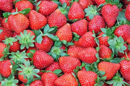 simsearch:400-05168860,k - Fresh Strawberry closeup. Photographie de stock - Aubaine LD & Abonnement, Code: 400-06172297