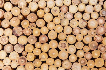 simsearch:400-05736665,k - Cross section of the timber for the firewood Fotografie stock - Microstock e Abbonamento, Codice: 400-06172621