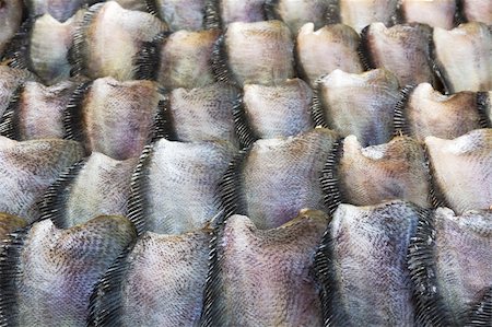 Salid Fish for sale in market ,Thailand. Stock Photo - Budget Royalty-Free & Subscription, Code: 400-06172631