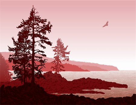 simsearch:400-04218118,k - Inspiring illustration of the rugged west coast of Vancouver Island Foto de stock - Super Valor sin royalties y Suscripción, Código: 400-06172860
