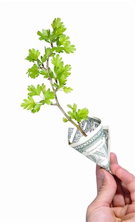 hand holding green plant growing in money, dollar banknote Photographie de stock - Aubaine LD & Abonnement, Code: 400-06173117