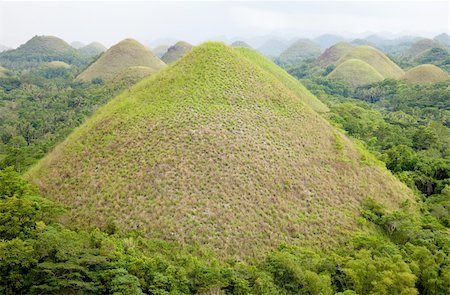 simsearch:862-08699699,k - Chocolate Hills in Bohol, Visayas, Philippines Fotografie stock - Microstock e Abbonamento, Codice: 400-06205504