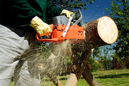 safety gear for logging and forestry - The chainsaw cutting the log of wood Stock Photo - Budget Royalty-Free & Subscription, Code: 400-06205558