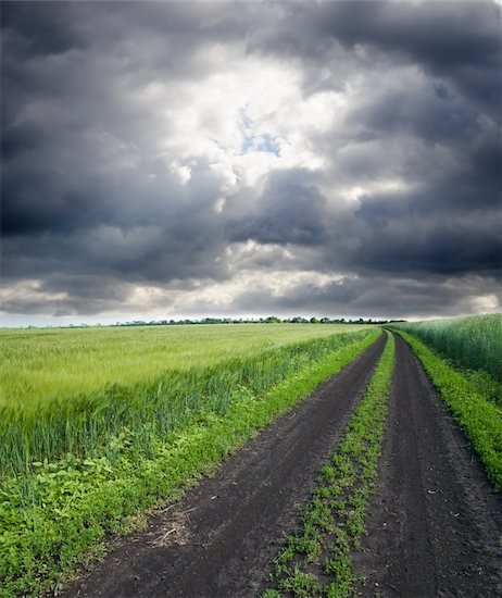 rural road in green field under cloudy sky Photographie de stock - Libre de Droits (LD), Artiste: mycola, Le code de l’image : 400-06205772