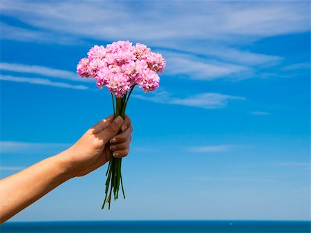 Female hand holding some wildflowers against a blue sky Stock Photo - Budget Royalty-Free & Subscription, Code: 400-06206111