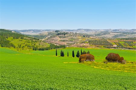 simsearch:400-06415579,k - Green Field in Israel, Spring Fotografie stock - Microstock e Abbonamento, Codice: 400-06206229