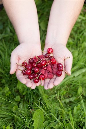 Hands with cherries and raspberries Foto de stock - Royalty-Free Super Valor e Assinatura, Número: 400-06207159