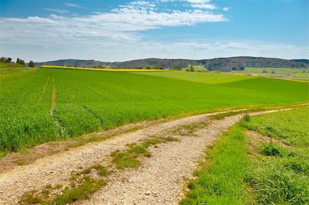 dirt farm road - Dirt  Road Leading to the Farmhouse in the Swiss Alps Stock Photo - Budget Royalty-Free & Subscription, Code: 400-06207324