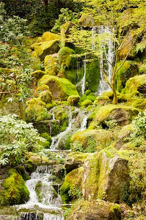 Cascading waterfall in a peaceful scene of nature. Stock Photo - Budget Royalty-Free & Subscription, Code: 400-06207977
