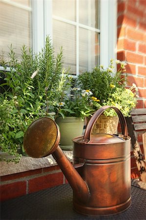 Pots of flowers and herbs on window ledge Stock Photo - Budget Royalty-Free & Subscription, Code: 400-06208119