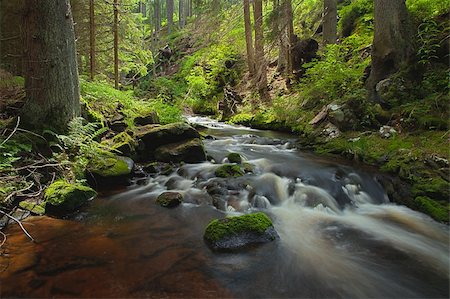 simsearch:400-04077039,k - The river runs over boulders in the primaeval forest Photographie de stock - Aubaine LD & Abonnement, Code: 400-06208209