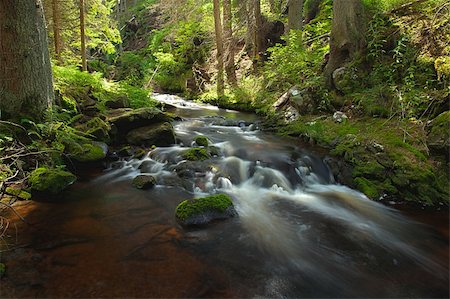 simsearch:400-04077039,k - The river runs over boulders in the primaeval forest Photographie de stock - Aubaine LD & Abonnement, Code: 400-06208210