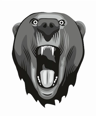 Head of a aggressive bear with opened mouth Stockbilder - Microstock & Abonnement, Bildnummer: 400-06208418