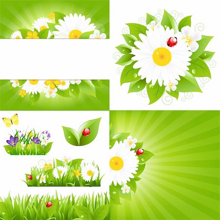 simsearch:400-04382717,k - Set From Flower Backgrounds With Ladybug, Vector Illustration Photographie de stock - Aubaine LD & Abonnement, Code: 400-06200024
