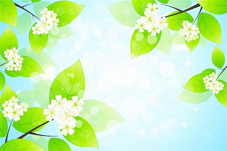 Green Leaves and flowers Stock Photo - Budget Royalty-Free & Subscription, Code: 400-06200321