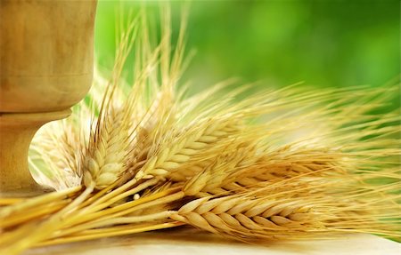 Spikes of wheat and cup Fotografie stock - Microstock e Abbonamento, Codice: 400-06200541