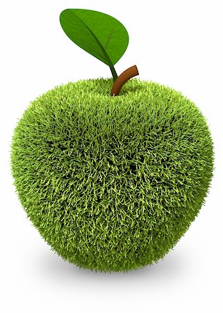Apple covered with green grass isolated on white. 3d render. Stock Photo - Budget Royalty-Free & Subscription, Code: 400-06200846