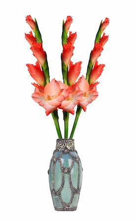 Beautiful red gladiolus in vase isolated on white background Foto de stock - Royalty-Free Super Valor e Assinatura, Número: 400-06201205