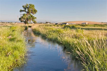 irrigation ditch in Colorado farmland near Fort Collins  with Rocky Mountains at a horizon, summer scenety with green grass Stock Photo - Budget Royalty-Free & Subscription, Code: 400-06202341