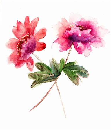 simsearch:400-06202782,k - Watercolor illustration of Beautiful peony flowers Stock Photo - Budget Royalty-Free & Subscription, Code: 400-06202752