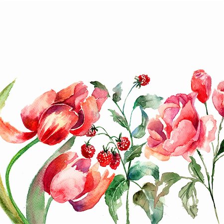 Beautiful flowers, Watercolor painting Stock Photo - Budget Royalty-Free & Subscription, Code: 400-06202763