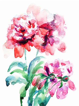 simsearch:400-06202782,k - Watercolor illustration of Beautiful peony flowers Stock Photo - Budget Royalty-Free & Subscription, Code: 400-06202780