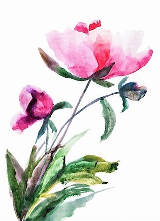 peony art - Spring Peony flowers, Watercolor illustration Stock Photo - Budget Royalty-Free & Subscription, Code: 400-06202781