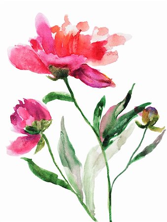 simsearch:400-06202782,k - Watercolor illustration of Beautiful peony flowers Stock Photo - Budget Royalty-Free & Subscription, Code: 400-06202782